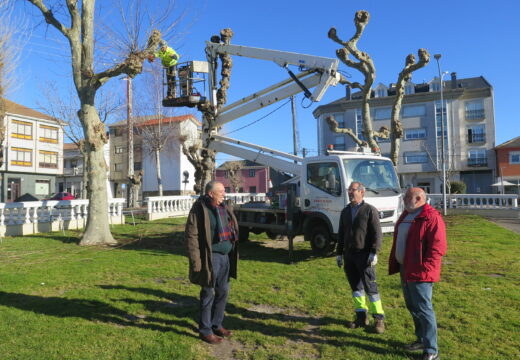 En marcha a campaña anual de poda de árbores en espazos públicos municipais